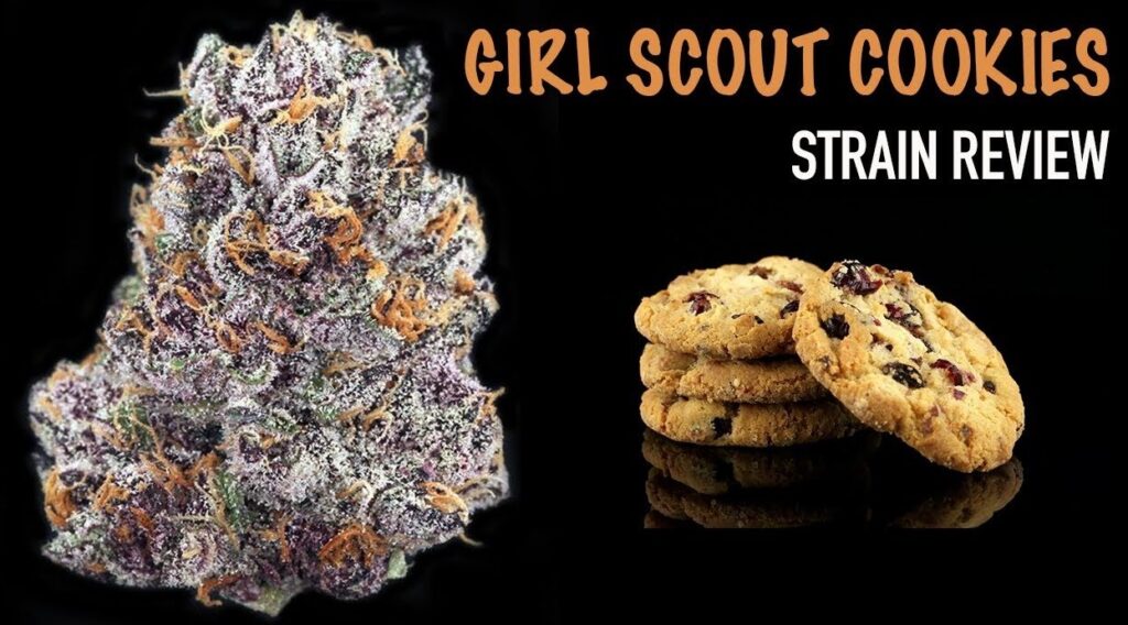 Girl Scout Cookies.