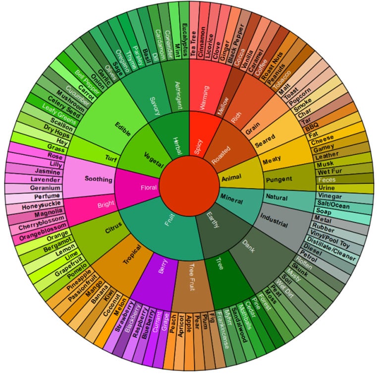 list of terpenes