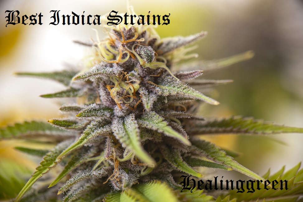 best indica strains