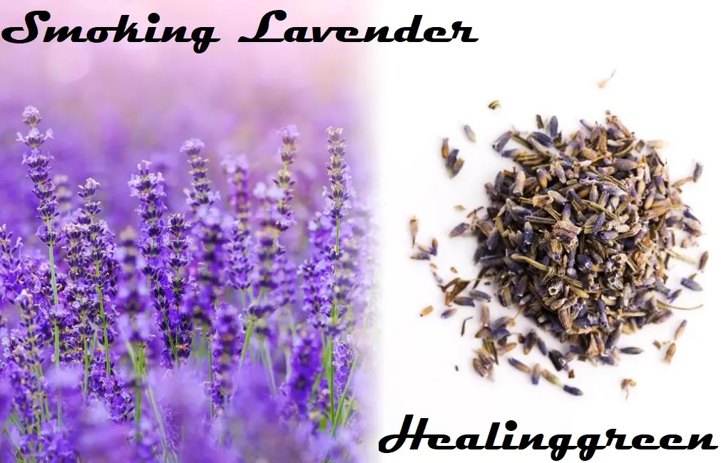 smoking lavender