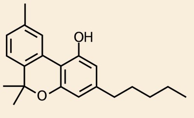 what are cannabinoids