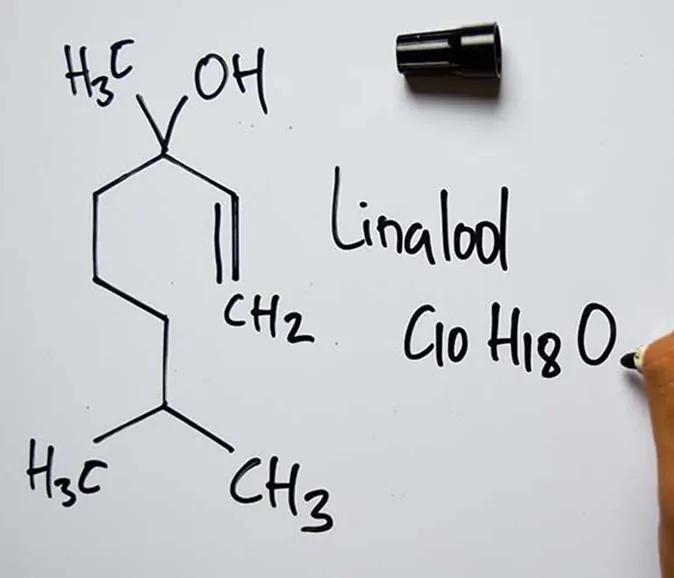 Linalool terpene