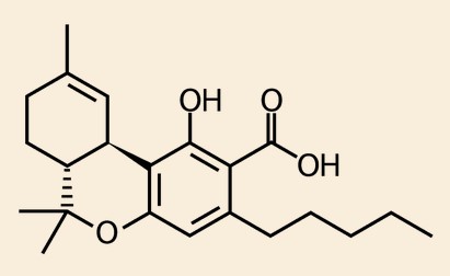 what are cannabinoids