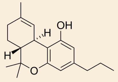 what are cannabinoids