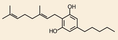 what are cannabinoids