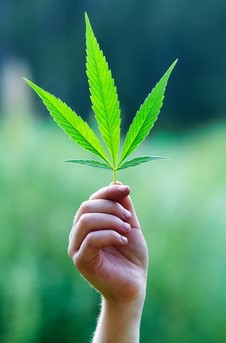 What is hemp used for