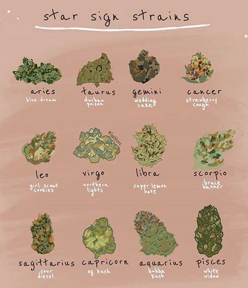 What strain matches your horoscope
