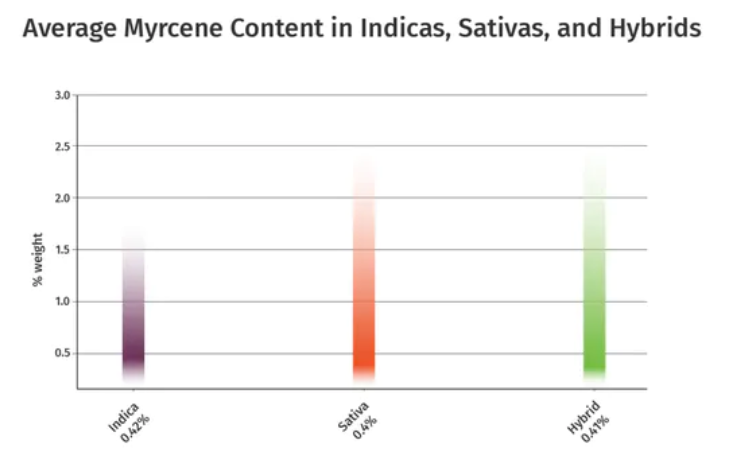 myrcene effects