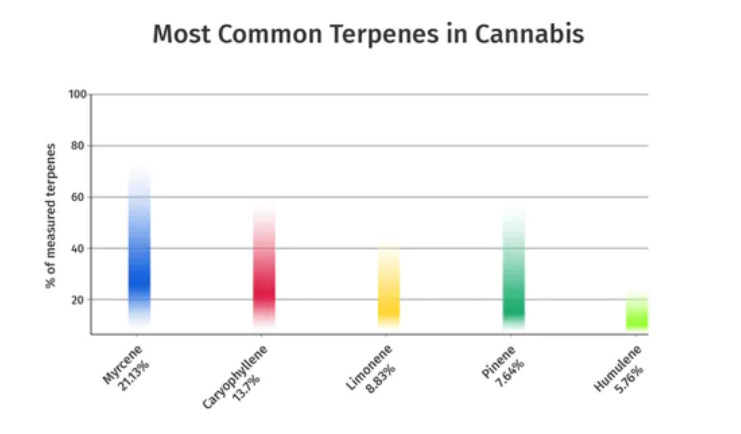 myrcene effects