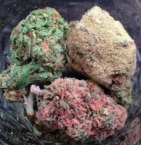  Weed Color