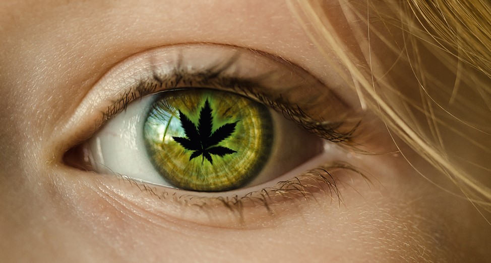 How does cannabis help glaucoma