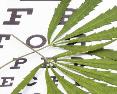 How does cannabis help glaucoma