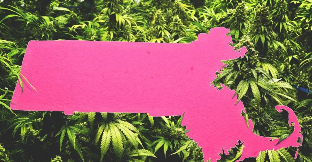 420 friendly places to stay in massachusetts