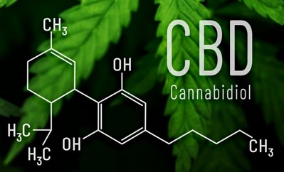 cbd powder effects