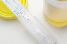 marijuana urine test